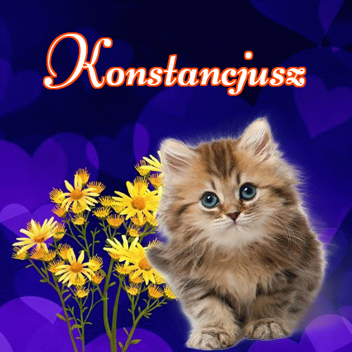 Milusich snów! Dobranoc!。 