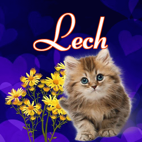 Milusich snów! Dobranoc!。 