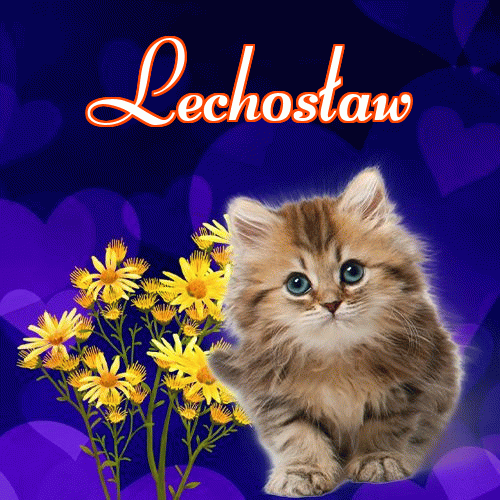 Milusich snów! Dobranoc!。 