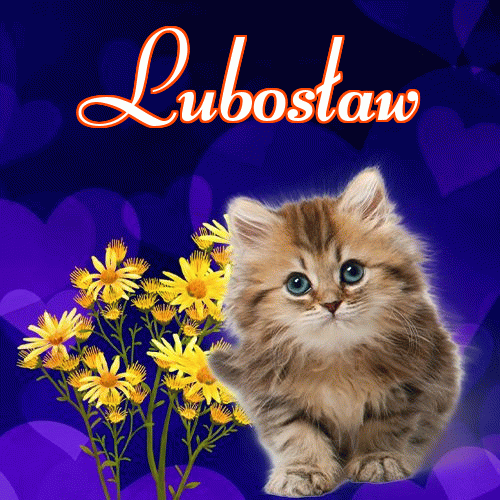 Milusich snów! Dobranoc!。 