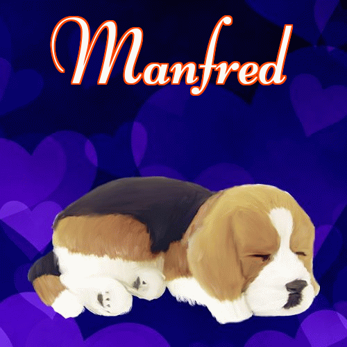 Milusich snów! Dobranoc!。 