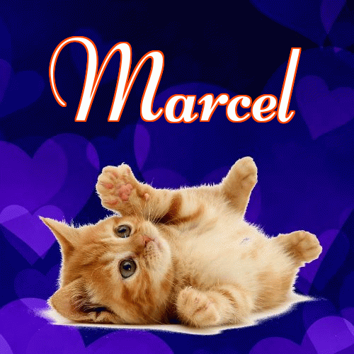 Milusich snów! Dobranoc!。 