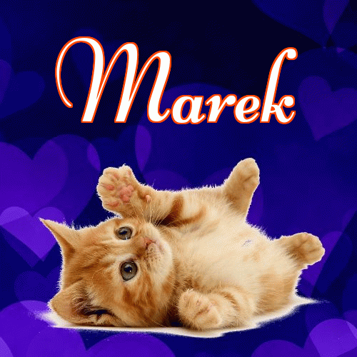 Milusich snów! Dobranoc!。 