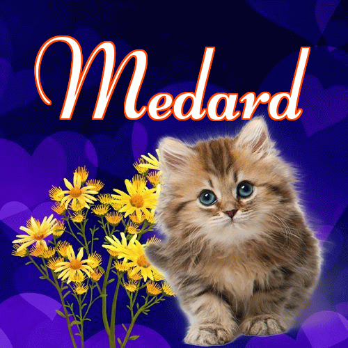 Milusich snów! Dobranoc!。 