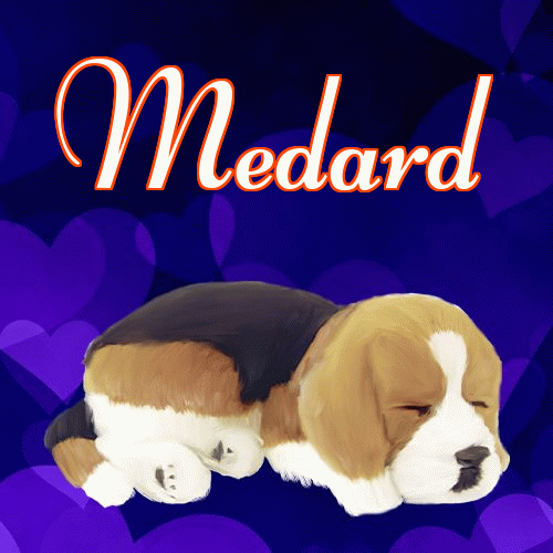 Milusich snów! Dobranoc!。 