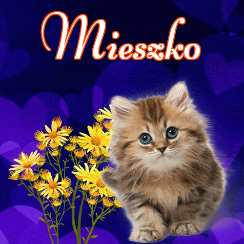 Milusich snów! Dobranoc!。 