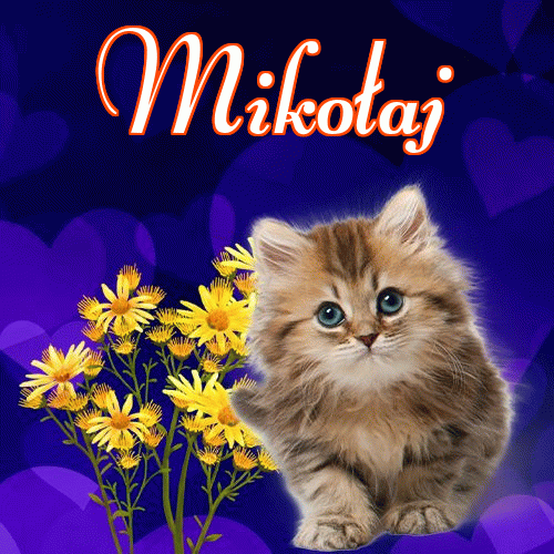 Milusich snów! Dobranoc!。 