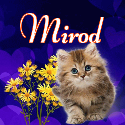 Milusich snów! Dobranoc!。 