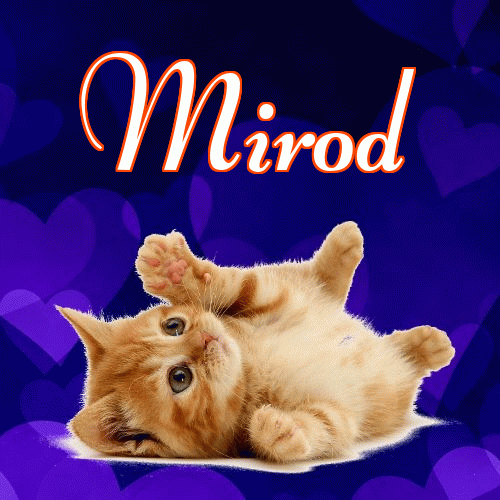 Milusich snów! Dobranoc!。 