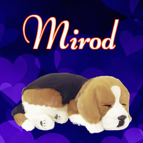 Milusich snów! Dobranoc!。 