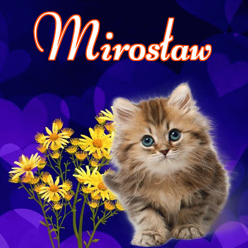 Milusich snów! Dobranoc!。 