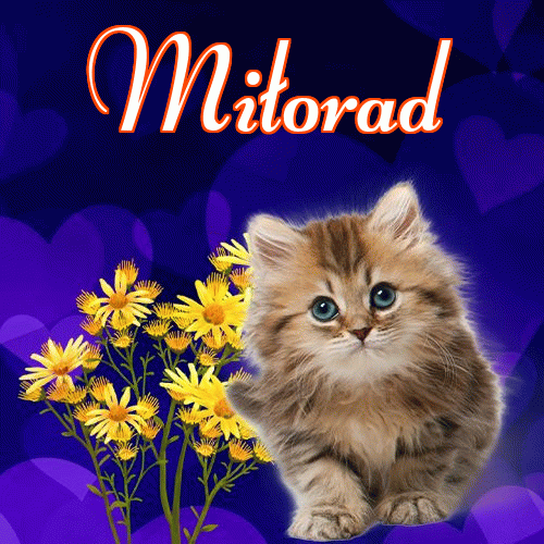 Milusich snów! Dobranoc!。 