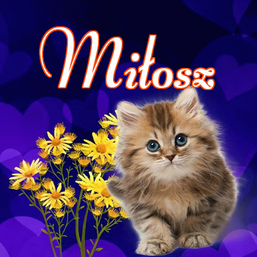 Milusich snów! Dobranoc!。 