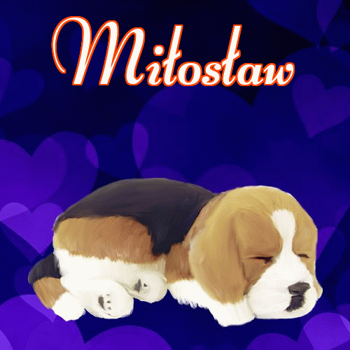 Milusich snów! Dobranoc!。 