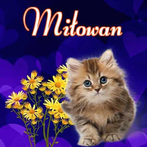 Milusich snów! Dobranoc!。 