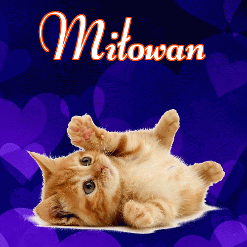 Milusich snów! Dobranoc!。 