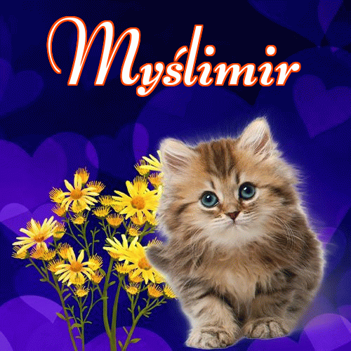 Milusich snów! Dobranoc!。 