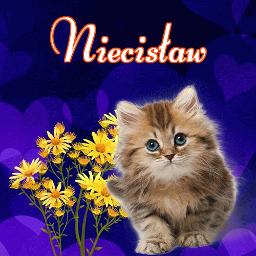 Milusich snów! Dobranoc!。 