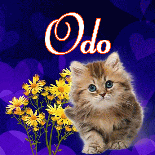 Milusich snów! Dobranoc!。 