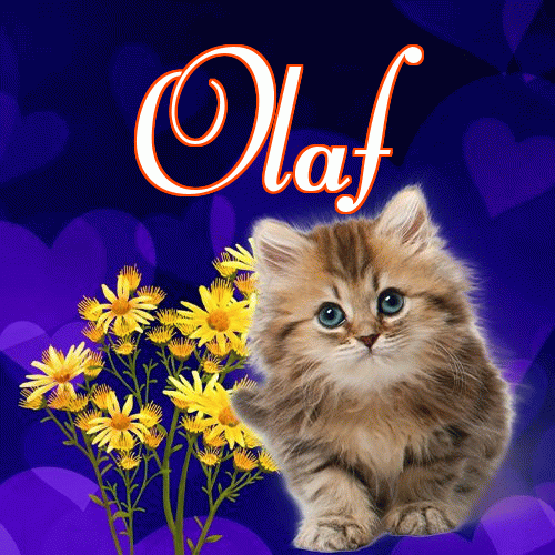 Milusich snów! Dobranoc!。 