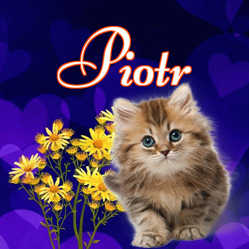 Milusich snów! Dobranoc!。 