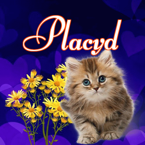 Milusich snów! Dobranoc!。 