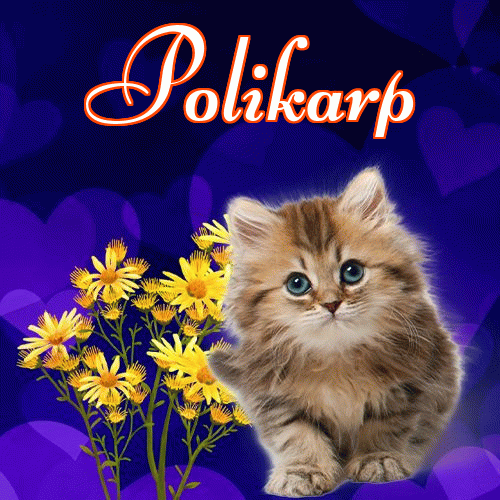 Milusich snów! Dobranoc!。 