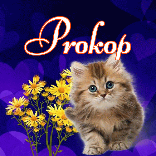 Milusich snów! Dobranoc!。 