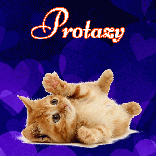 Milusich snów! Dobranoc!。 