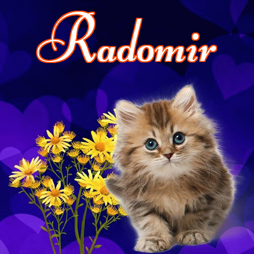 Milusich snów! Dobranoc!。 