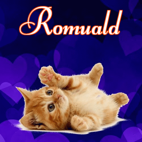 Milusich snów! Dobranoc!。 