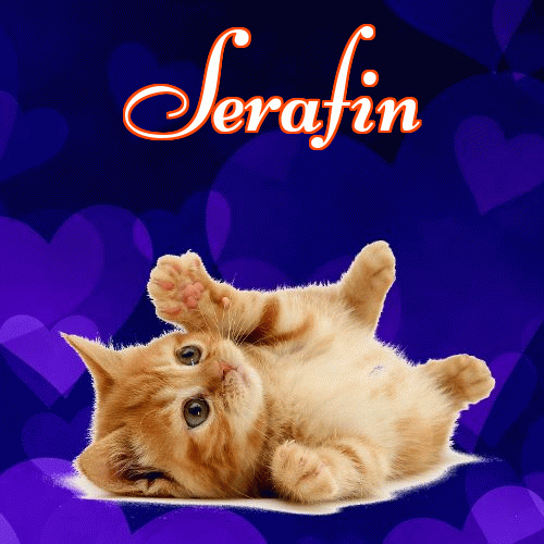 Milusich snów! Dobranoc!。 