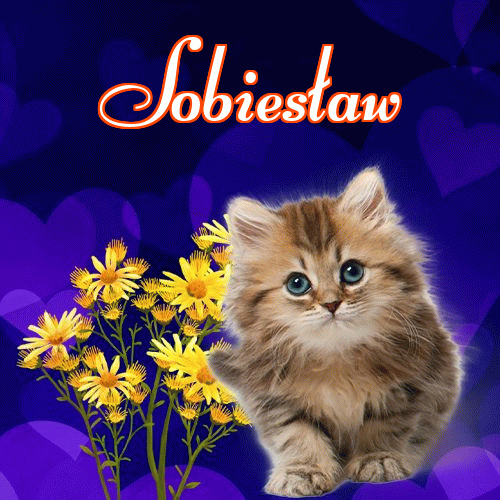 Milusich snów! Dobranoc!。 