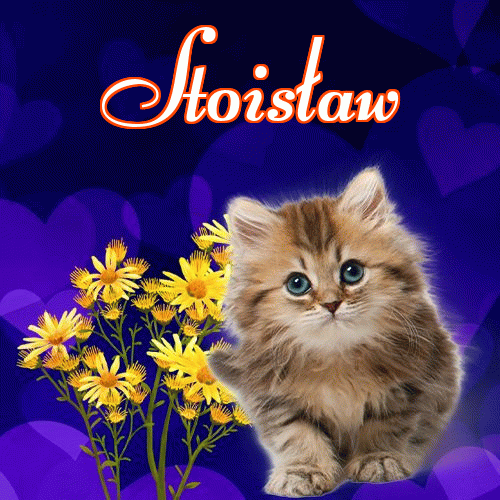 Milusich snów! Dobranoc!。 