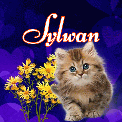 Milusich snów! Dobranoc!。 