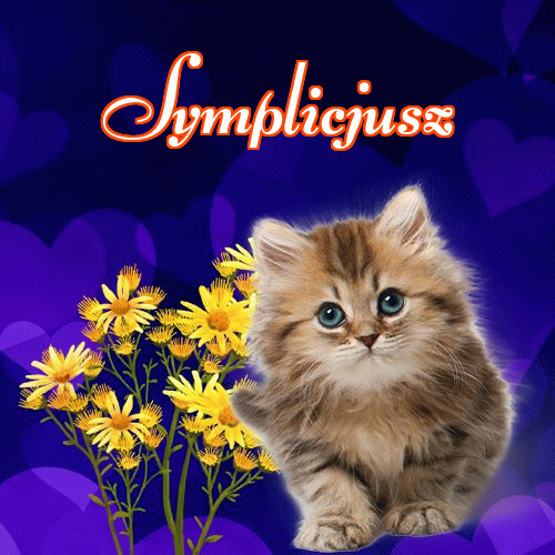 Milusich snów! Dobranoc!。 