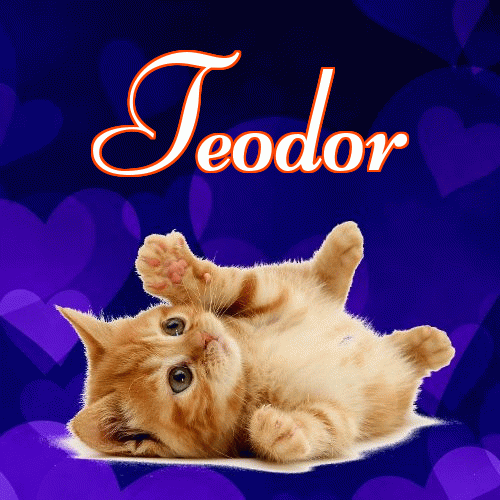 Milusich snów! Dobranoc!。 