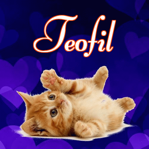 Milusich snów! Dobranoc!。 