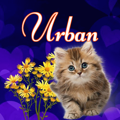 Milusich snów! Dobranoc!。 