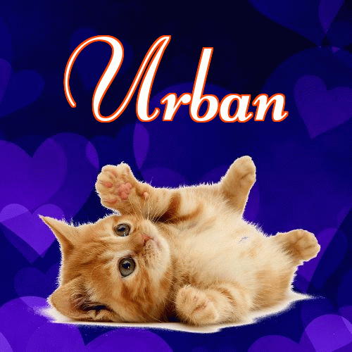 Milusich snów! Dobranoc!。 