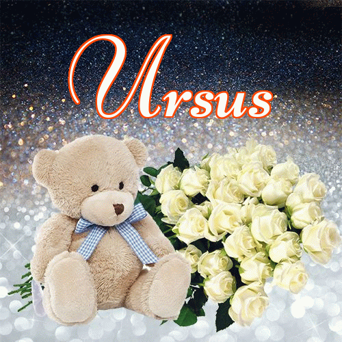 Milusich snów! Dobranoc!。 