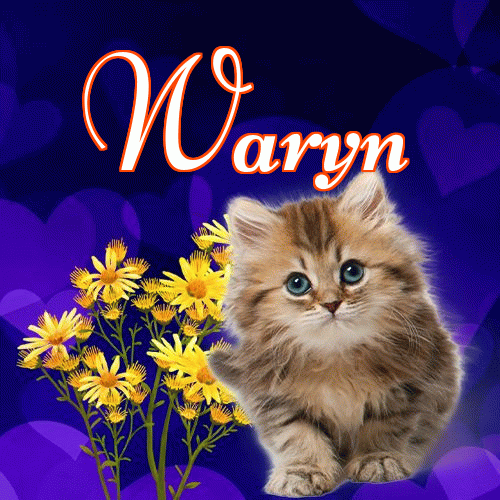 Milusich snów! Dobranoc!。 