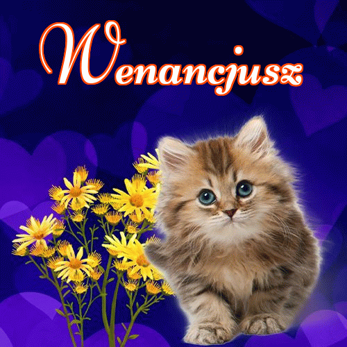 Milusich snów! Dobranoc!。 