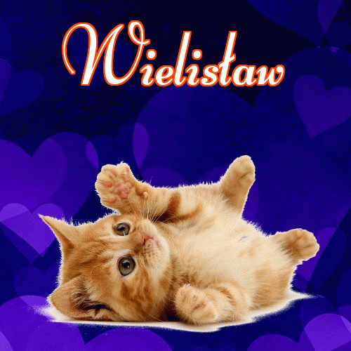 Milusich snów! Dobranoc!。 