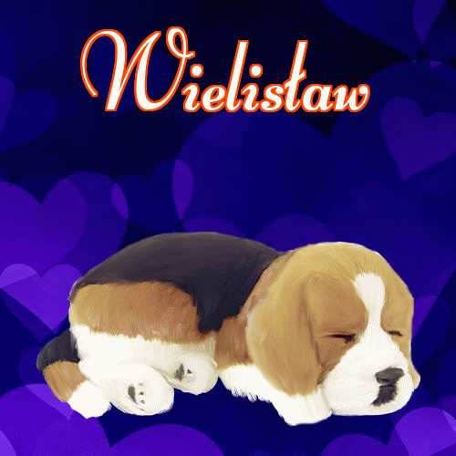 Milusich snów! Dobranoc!。 