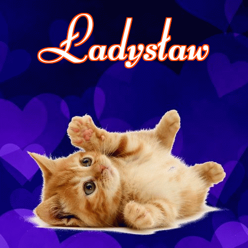 Milusich snów! Dobranoc!。 