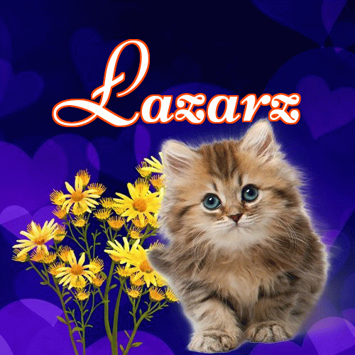 Milusich snów! Dobranoc!。 