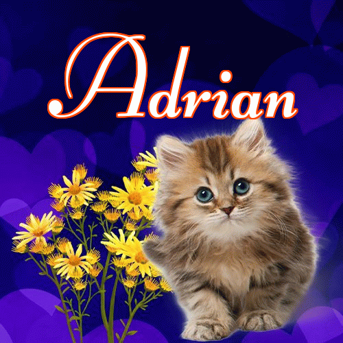 Milutkich słodziutkich snów!。 