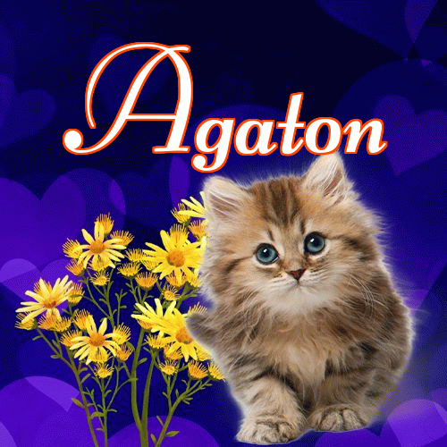 Milutkich słodziutkich snów!。 