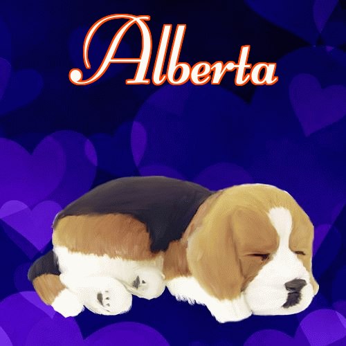 Milutkich słodziutkich snów!。 